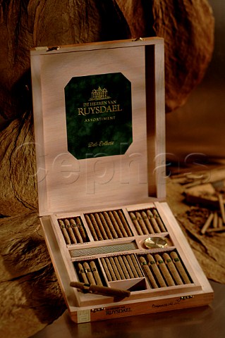 Box of Ruysdael Dutch cigars