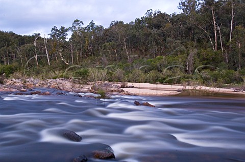 Snowy River at Jacksons Crossing Snowy River National Park Victoria Australia
