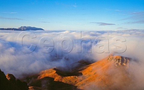 Above the clouds at sunrise Te Mata Peak Havelock North North Island New Zealand