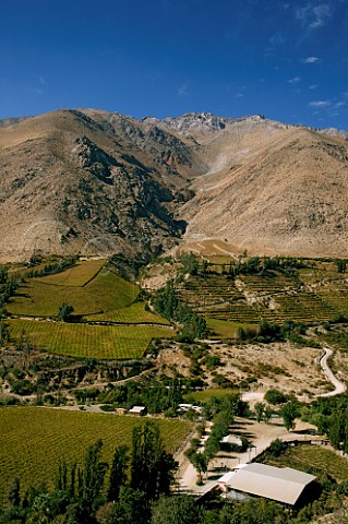 Vineyards around the town of Pisco in the Elqui Valley Chile