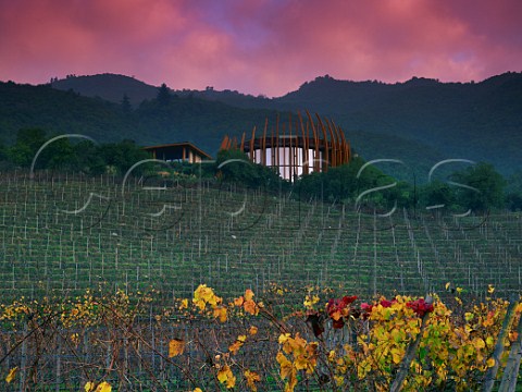 Lapostolle Clos Apalta winery and Petit Verdot vineyard at dawn   Colchagua Valley Chile