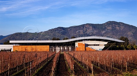 Via Estampa winery and Cabernet Sauvignon vineyard in winter   Colchagua Valley Chile