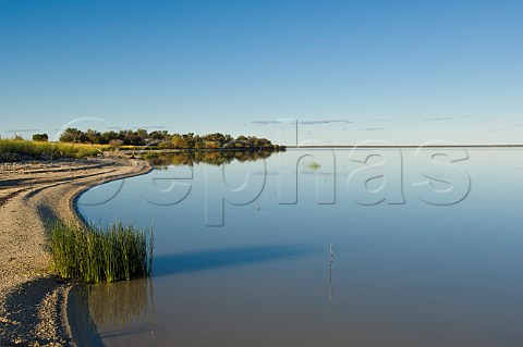 Lake Numalla Currawinya National Park Queensland Australia
