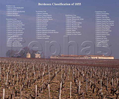 Bordeaux Classification of 1855  Chteau Latour viewed over its vineyard on a misty winter morning   Pauillac Gironde France  Mdoc  Bordeaux