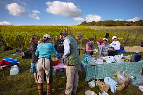 Owners Harry and Pip Goring serving lunch to their grape pickers in Findon Park Vineyard of Wiston Estate on the South Downs near Worthing Sussex England