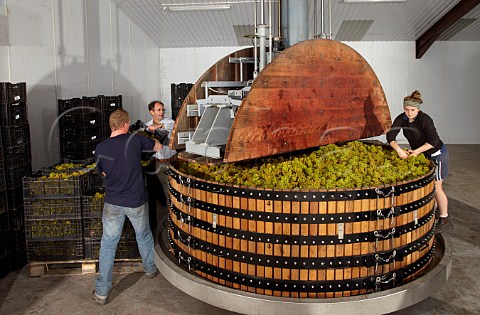 Loading the Coquard press with 4 tonnes of Chardonnay grapes in the winery of Wiston Estate near Worthing Sussex England