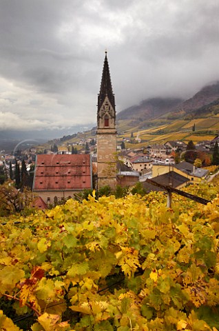 Gewrztraminer vineyard of J Hofsttter above their winery and church of St Quirikus and Julitta in Termeno Alto Adige Italy Alto Adige  Sdtirol  