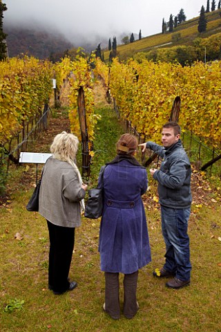 Winemaker Markus Heinel with visiting wine writers in Gewrztraminer vineyard of J Hofsttter at Termeno Alto Adige Italy    Alto Adige  Sdtirol