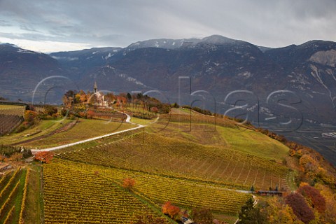 MullerThurgau vineyard of the Cantina Cortaccia cooperative by St Georg church at Graun high above the Adige Valley at an altitude of around 800 metres  Cortaccia Alto Adige Italy    Alto Adige  Sdtirol