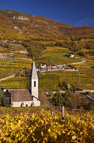 The church of Santa Maddalena amidst the vineyards in the Santa Maddalena Classico zone on the outskirts of Bolzano Alto Adige Italy  Santa Maddalena Classico