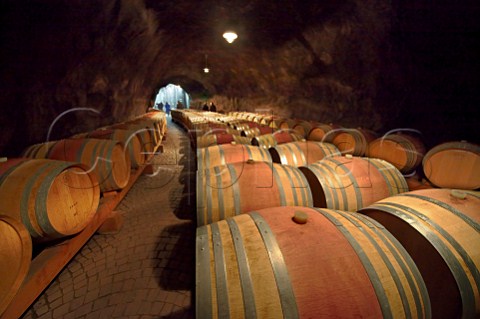 Group of visitors in cellars of the Laimburg winery   Vdena Alto Adige Italy Alto Adige  Sdtirol