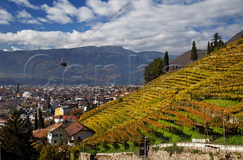 Cable car ascending to Soprabolzano over the vineyards on the steep hillside above Bolzano Alto Adige Italy   Santa Maddalena Classico DOC