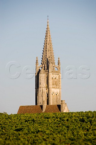Vineyard and church tower Stmilion Gironde France Saintmilion  Bordeaux
