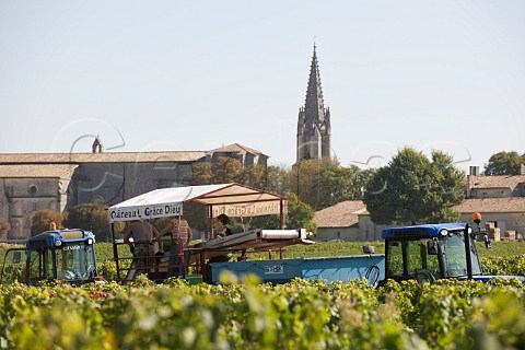 Harvesting at Chteau La Grce Dieu  Saintmilion Gironde France Stmilion  Bordeaux