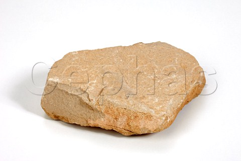 Limestone from Le Montrachet vineyard PulignyMontrachet Cte dOr France