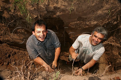Pedro Parra and winemaker Felipe Uribe in a soil profiling pit in vineyard of William Fvre Maipo Chile