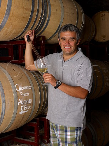 Felipe Uribe winemaker tasting his Punta Almendro Chardonnay from barrel in winery of William Fvre Maipo Chile  Maipo Valley