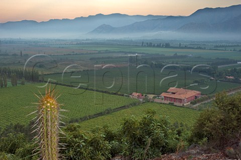 Vineyards of Via von Siebenthal Panquehue Chile  Aconcagua Valley