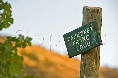 Cabernet Franc sign in vineyard of Haras de Pirque Pirque Maipo Valley Chile  Maipo Valley