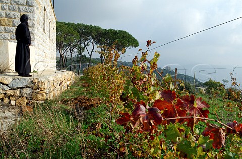 Monk above vineyard of Mar Moussa monastery Lebanon