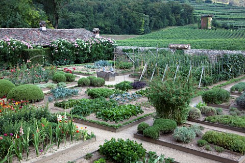 Kitchen garden of San Leonardo winery Borghetto allAdige Avio Trentino Italy
