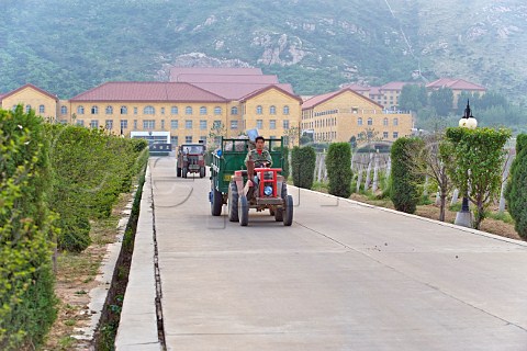 Tractors at Bodega Langes Hebei Province China