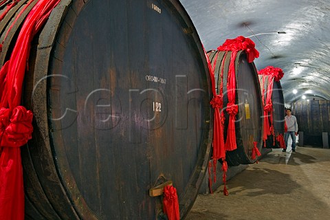 Large barrels in the old cellar at Changyu winery Yantai Shandong Province China