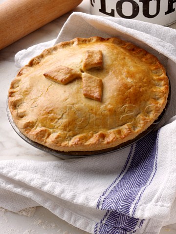 Shortcrust pastry pie in a pie tin cooked