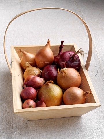 A trug of onions and shallots
