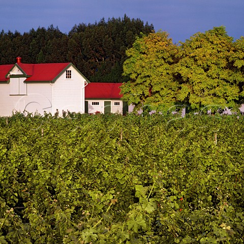 The Stables Winery of Ngatarawa near Hastings  New Zealand   Hawkess Bay