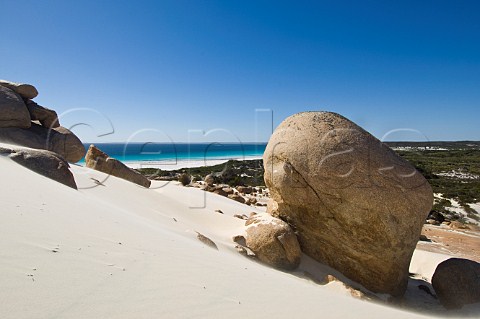 Boulders on the sand dunes at Cape Arid Cape Arid National Park Western Australia