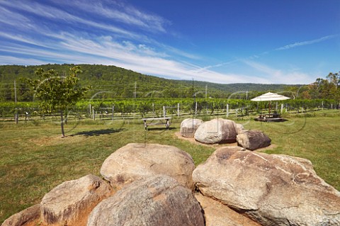Visitors garden at Rappahannock Cellars with the Blue Ridge Mountains in distance  Huntly Virginia USA