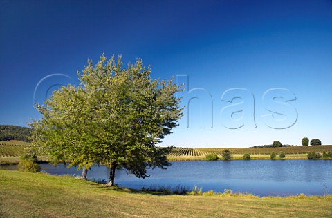 Trump Estate vineyards and lake near Charlottesville Virginia USA  Monticello AVA