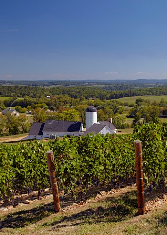 Winery of RdV Vineyards Delaplane Virginia USA