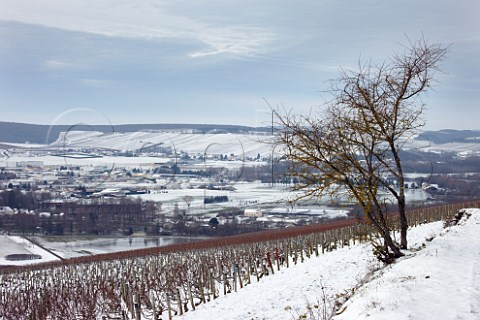 View from above Les Clos vineyard grand cru over the town of Chablis with Cte de Lchet vineyard premier cru above village of Milly in distance  Yonne France