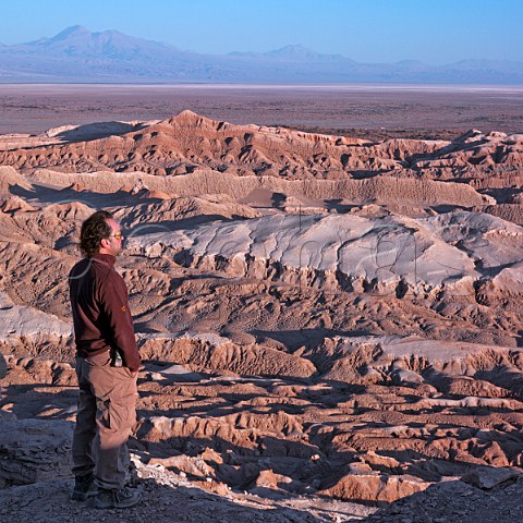 Tour guide looking out over the Atacama Desert near San Pedro de Atacama Chile
