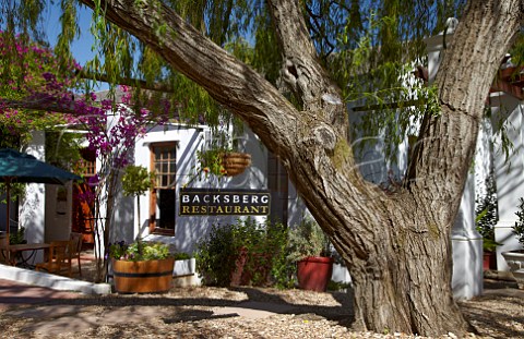 Backsberg winery restaurant Paarl Western Cape South Africa  SimonsbergPaarl