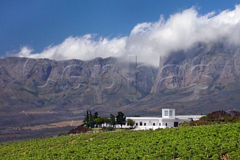 Vergelegen winery and vineyard with the Hottentots Holland Mountains in distance Somerset West Western Cape South Africa  Stellenbosch