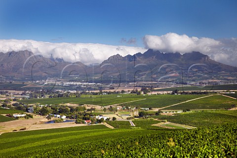 View from vineyards in the Polkadraai Hills towards Stellenbosch and the Helderberg mountain  Western Cape South Africa