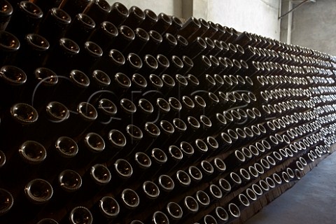 Bottles of sparkling wine in pupitres in winery of Steenberg Vineyards   Constantia Western Cape South Africa  Constantia