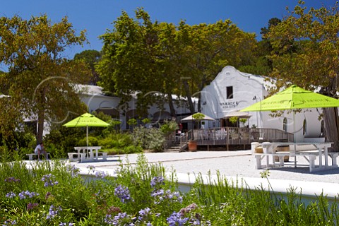 Winery tasting room and picnic terrace of Warwick Estate Stellenbosch Western Cape South Africa  SimonsbergStellenbosch
