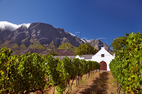 Boekenhoutskloof winery and vineyard with the Franschhoek Mountains beyond   Franschhoek Western Cape South Africa Franschhoek Valley