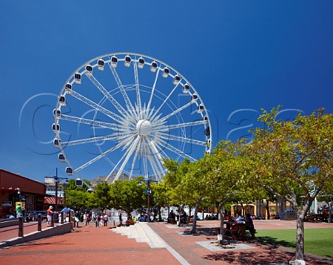The Wheel of Excellence on VA Waterfront in Cape Town Western Cape South Africa