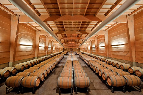Firstyear barrel room of Almaviva winery Maipo Valley Chile