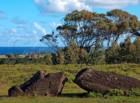 Broken Moai lying on its back at Rano Raraku Easter Island