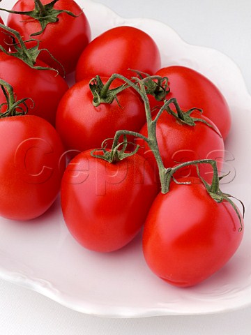 Ripe plum tomatoes in a white dish