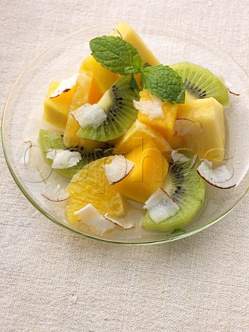 Tropical fruit salad with kiwi fruit pineapple mango and coconut shavings