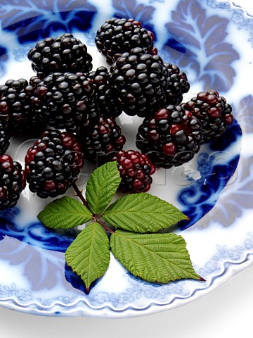 Ripe blackberries on an antique plate
