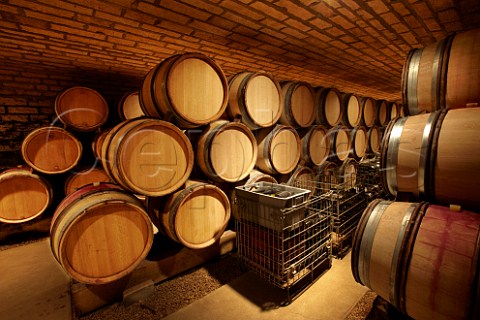 Barrel cellar of Domaine Charles Audoin MarsannaylaCte CtedOr France  Marsannay