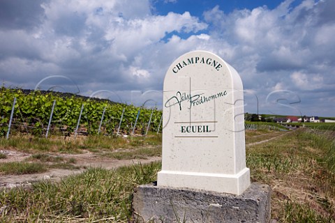Marker stone in vineyard of Vly Prodhomme at Ecueil Marne France  Champagne